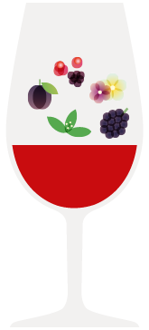 Copo Porto e Douro