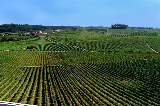 Bairrada