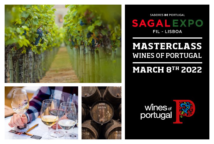 Seminário Vinhos de Portugal na 1ª Edição SAGAL EXPO 2022