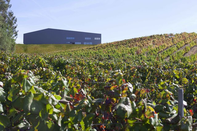 Sociedade Agrícola Boas Quintas, Lda.