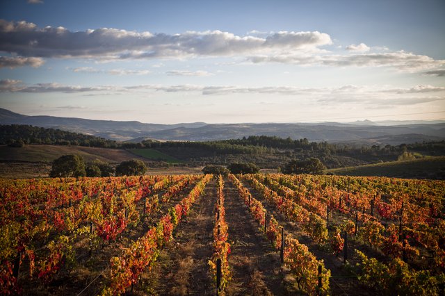 Trás-os-Montes