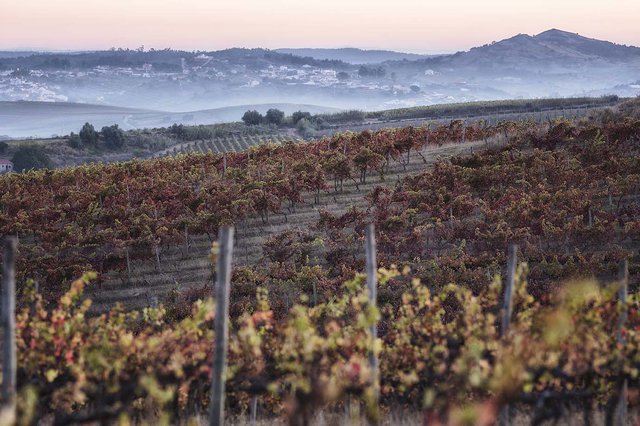 Quinta de Chocapalha